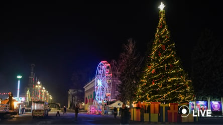 Не только Софийская: красивые новогодние локации Киева - 285x160