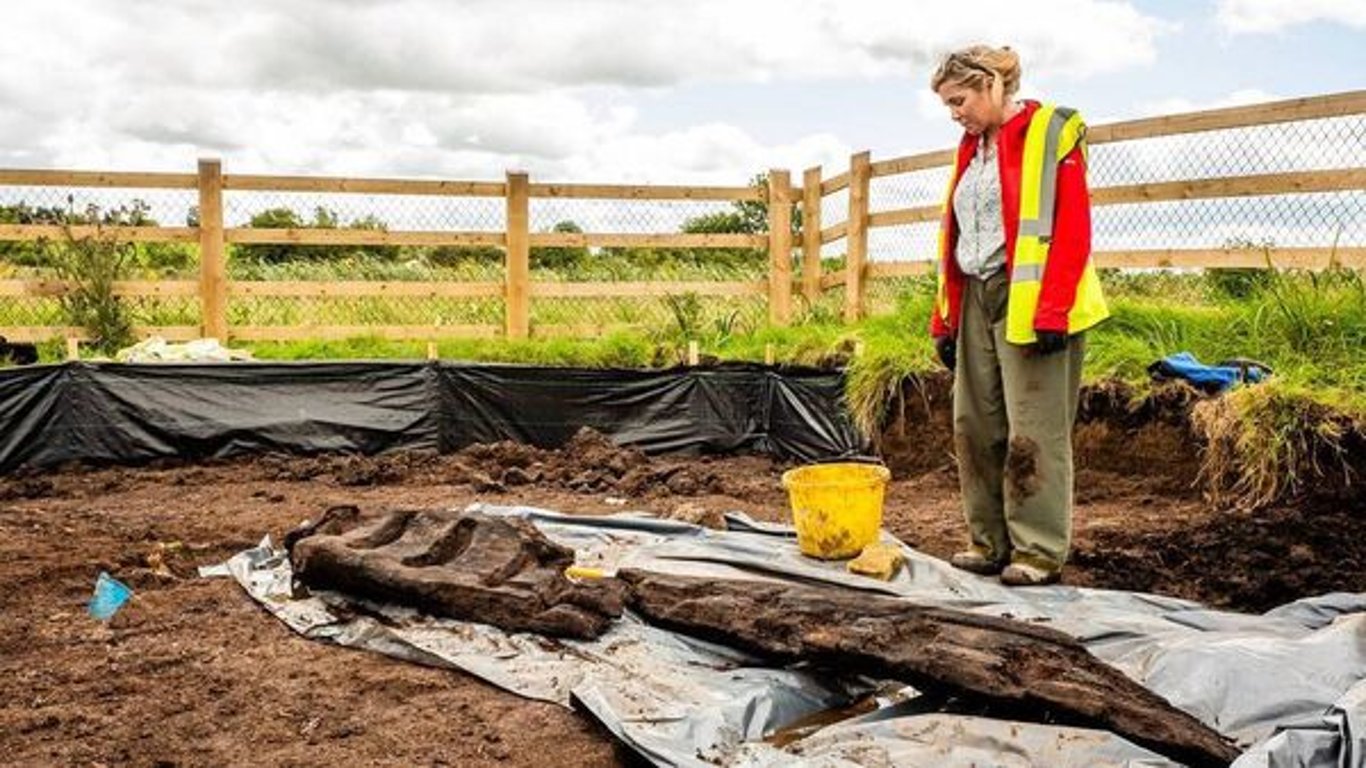 Наибольший языческий идол был найден в болоте на территории Ирландии - фото