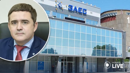 Мурашов не будет директором Запорожской АЭС: МАГАТЭ сообщило, где он сейчас - 285x160