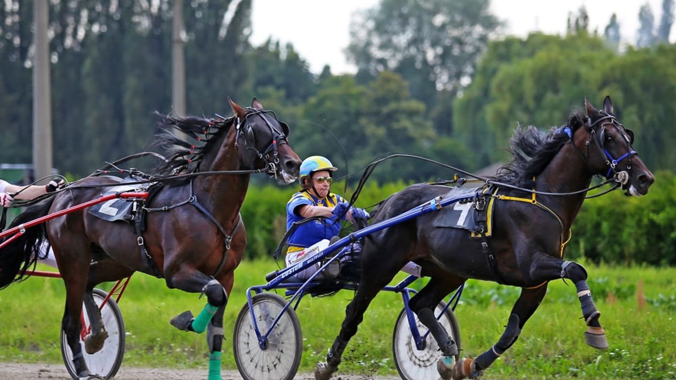 Конные гонки в Киеве: Ипподром открывает новый летний сезон