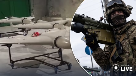ВСУ в очередной раз сбили иранский дрон-камикадзе: какой город он должен был атаковать - 285x160