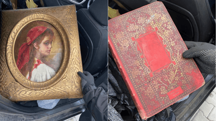 Из Одесской области австриец пытался вывезти старинные книгу и картину - 285x160