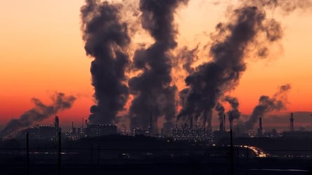 Накапливается гной и слизь: ученые назвали болезни, которые вызывает загрязненный воздух - 285x160
