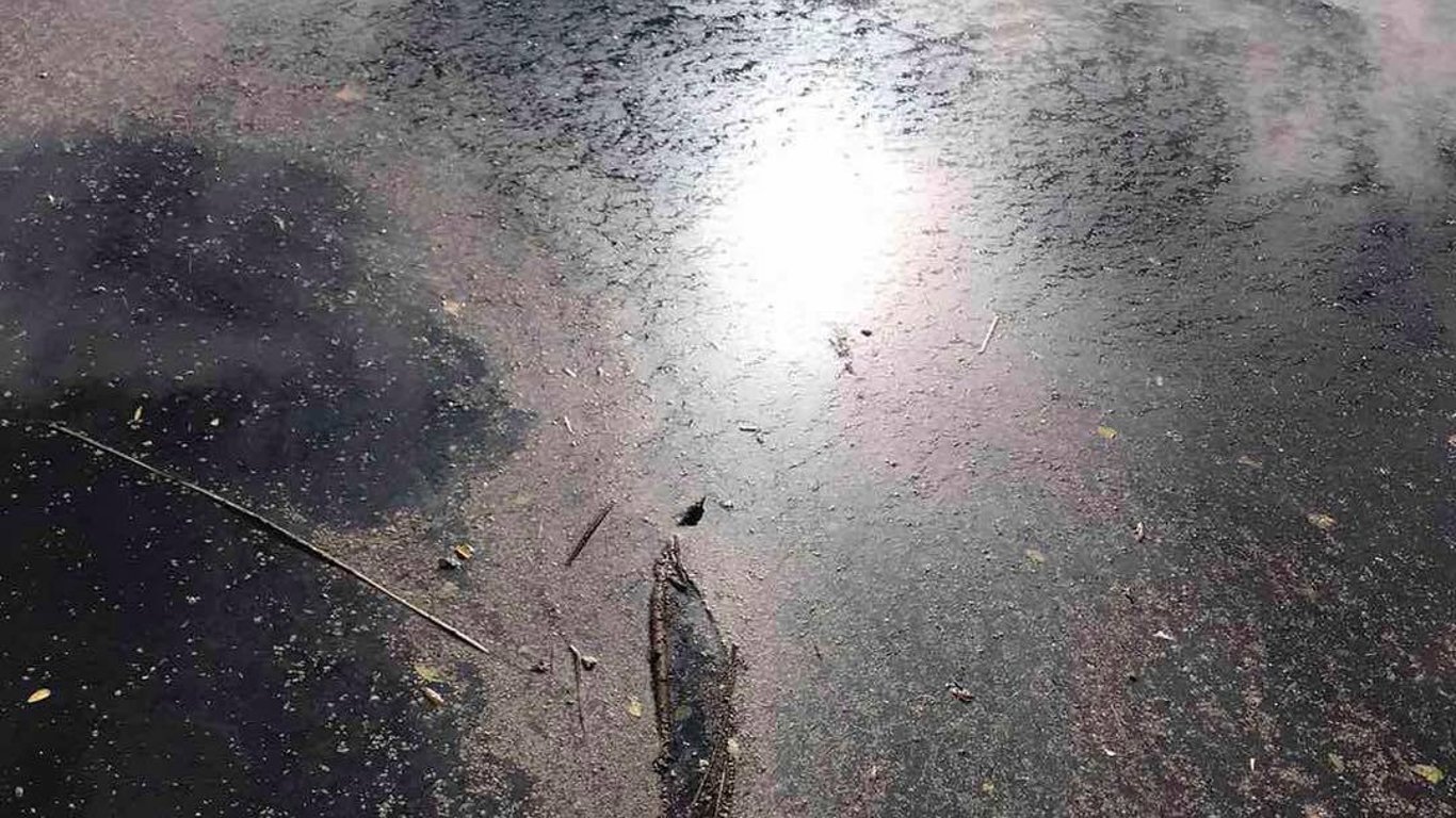 Оболонь - замор риби в озері Опечень