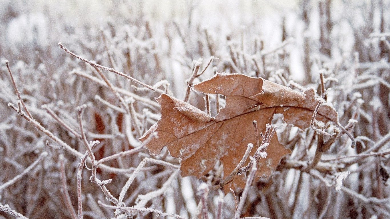 В Украину идет 19-градусное тепло и ночные заморозки: прогноз погоды на следующую неделю