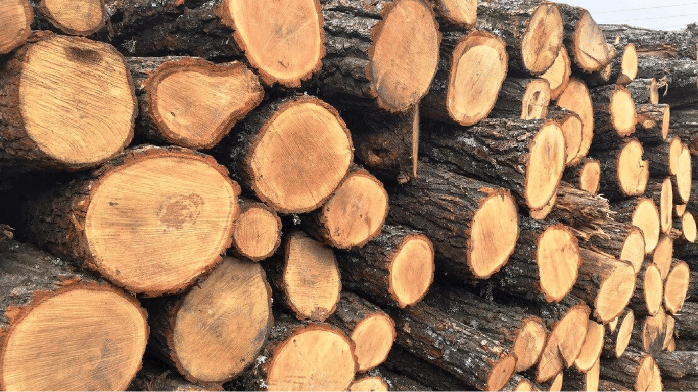 Украина заготовила рекордный запас дров – Гослесагентство