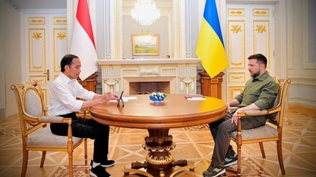Зеленский встретился с лидером Индонезии в Киеве. Видео - 285x160