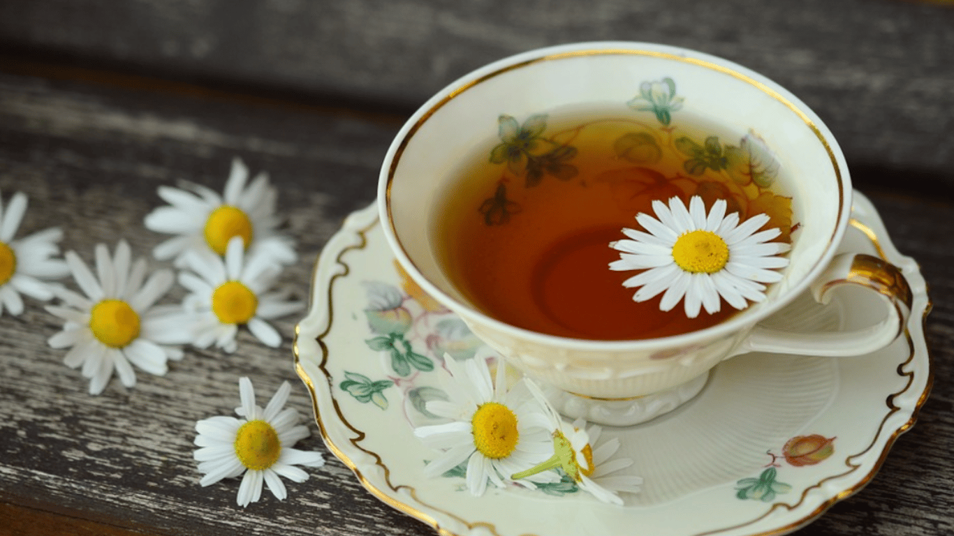 Зелений чай в чому його користь