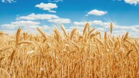 Турция назвала дату подписания зернового соглашения между Украиной и россией - 285x160