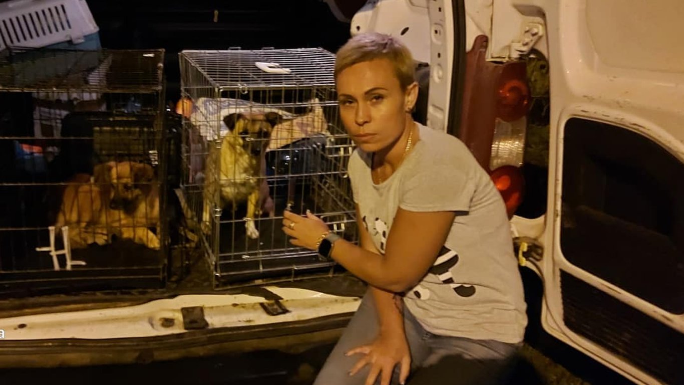 Одесские зоозащитники спасли собак с посттравматическим синдромом: как это было