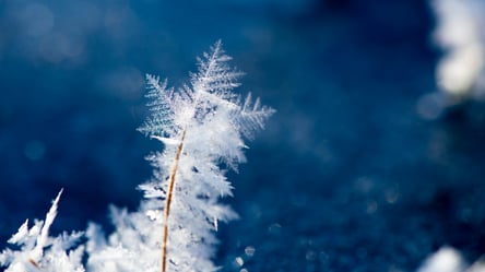 Снег, мороз и гололедица: синоптики дали прогноз погоды во Львове на выходные - 285x160