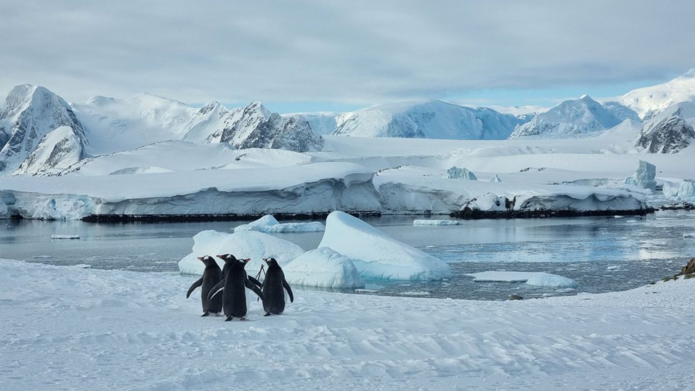 В Антарктике зафиксировали аномально теплую зиму, такого еще не было