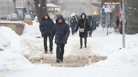 Зимой Киев может завалить рекордным количеством снега: подробности - 285x160