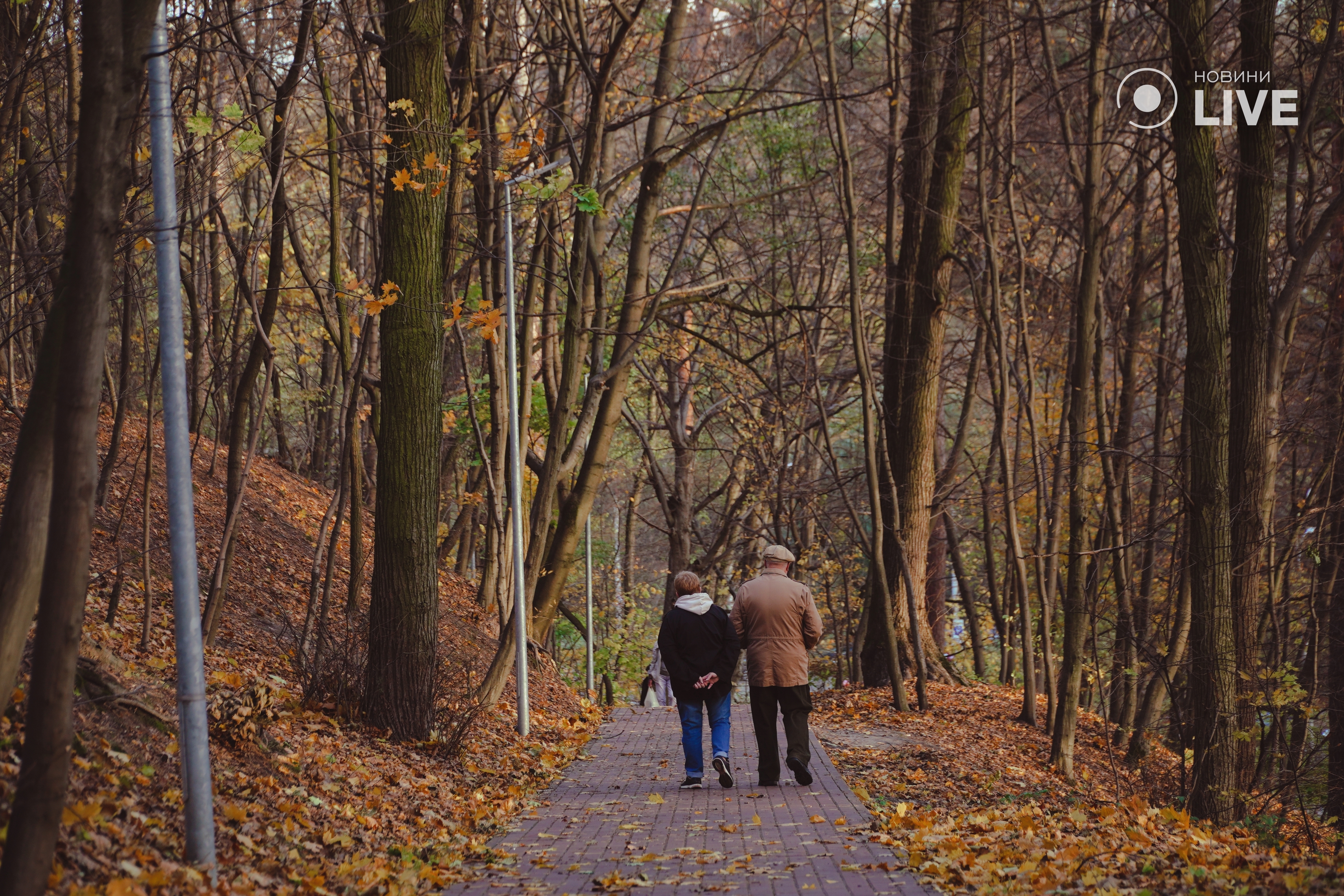 Пожилая пара гуляет осенним парком