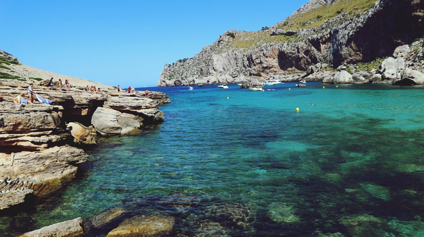 Один із популярних пляжів закрили через напад невідомої істоти - фото 1