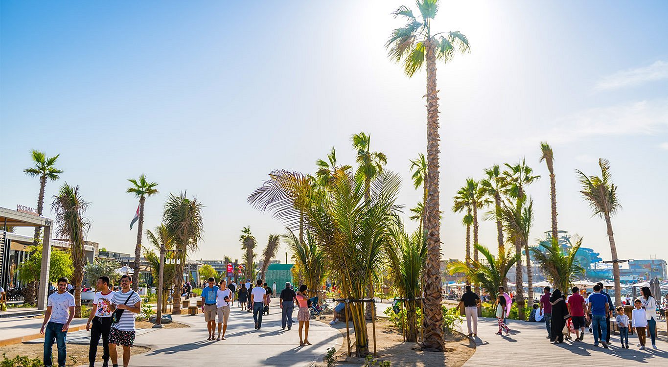 Експерт порадив, коли вигідніше летіти в Дубай - фото 1